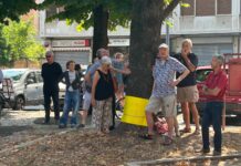 Alternativa per Piacenza, Piazza Cittadella oltre le piante: canoni, fidejussioni, parcometri…