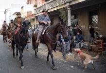 Sfilata di carri e rievocazione degli antichi mestieri al “San Martino di Monticelli”
