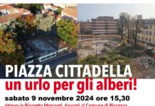 Manifestazione-sit-in Piazza Cittadella-un Urlo per gli Alberi!