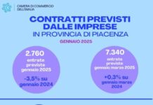 Piacenza, rallenta l’economia: nuovi contratti in calo, ma in lieve aumento già in gennaio