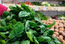 Un 2025 all’insegna deisapori delle nostre terre, riapre il mercato coperto di Campagna Amica a Piacenza