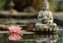 Buddismo, Meditazione e Yoga a Piacenza. Una cura contro l’incertezza in cui viviamo