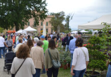 Castel San Giovanni – Floravilla a Villa Caramello, affluenza record per l’edizione rinnovata