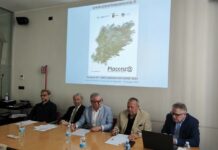 Rapporto 2024 sull’economia piacentina: segnali misti in un quadro di stabilità