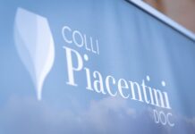 Consorzio di tutela vini Doc Colli Piacentini: il tempo delle scelte – Venerdì 25 luglio confronto pubblico