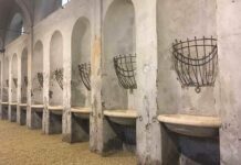 LETTERA – Intervento di recupero e riuso dell’ex scuderia di Maria Luigia e progetto unitario della piazze Cittadella e Casali