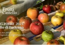 11/12 ottobre a Paderna: Frutti del Castello, da 30 anni la natura sperimenta il futuro