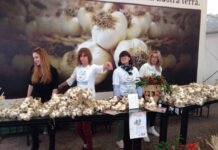 Compie 50 anni la Fiera dell’Aglio, Monticelli in festa per tre giorni