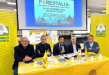 FORESTALIA 2025: a Piacenza Expo il mondo agroforestale con tre eventi collaterali dedicati a bosco e natura