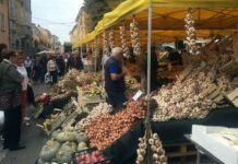 50 anni di Fiera dell’Aglio, omaggio al Piacentino bianco