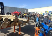 5.000 visitatori professionali da tutta Italia per Forestalia