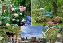 I Frutti del Castello, 10 anni di meraviglie floreali al Castello di Paderna