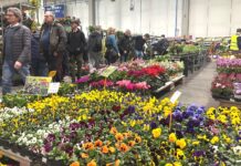 A Piacenza Expo continua il trend positivo di visitatori per Apimell, Seminat e Buon Vivere