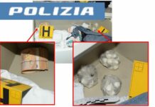 Maxi operazione antidroga a Piacenza: 20 arresti, smantellata una rete organizzata e tecnologica